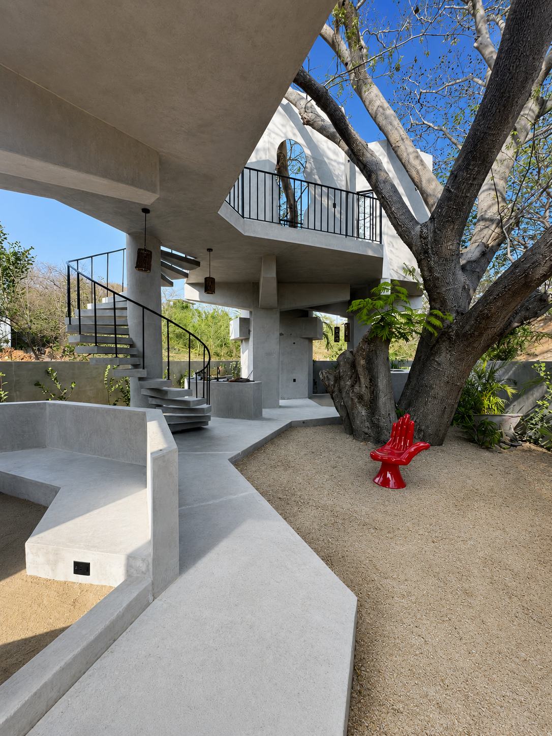 Late light and hard shadows falling across the concrete courtyard around the tree