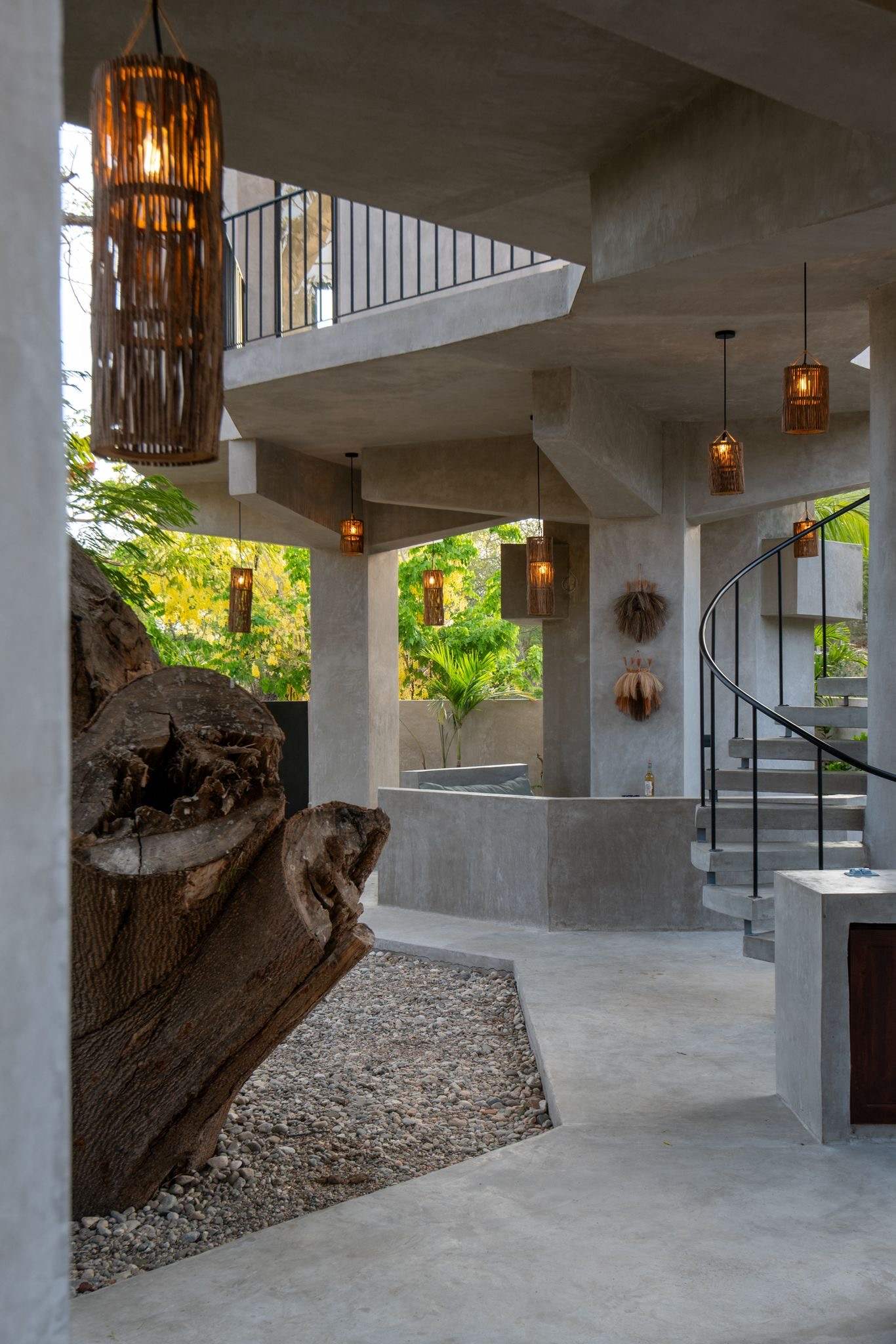 The living parota tree trunk rising through the concrete interior beside the spiral staircase