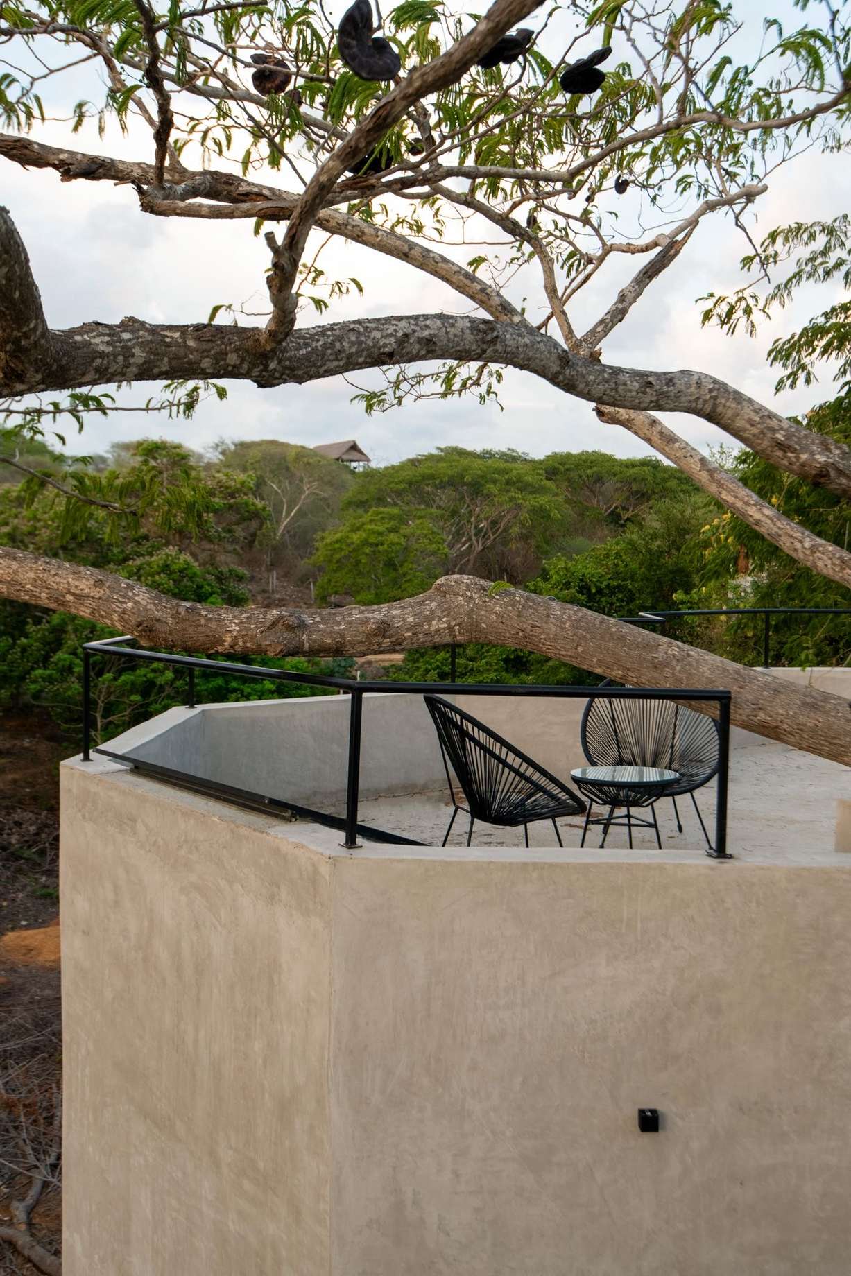 Private rooftop terrace with lounge chairs beneath the parota branches at last light